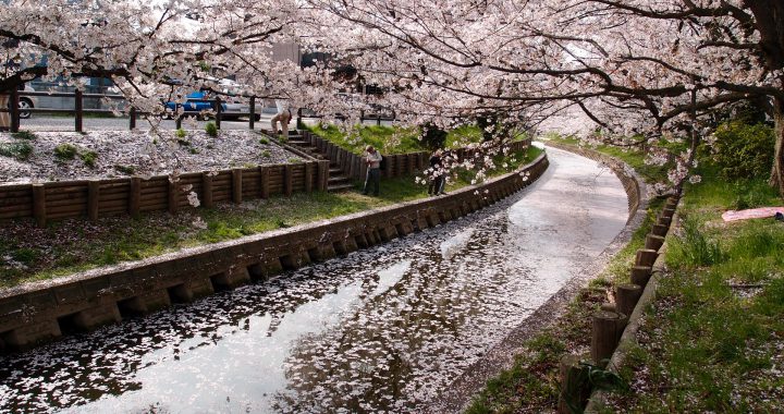 https://www.pexels.com/photo/nature-traveling-spring-river-103572